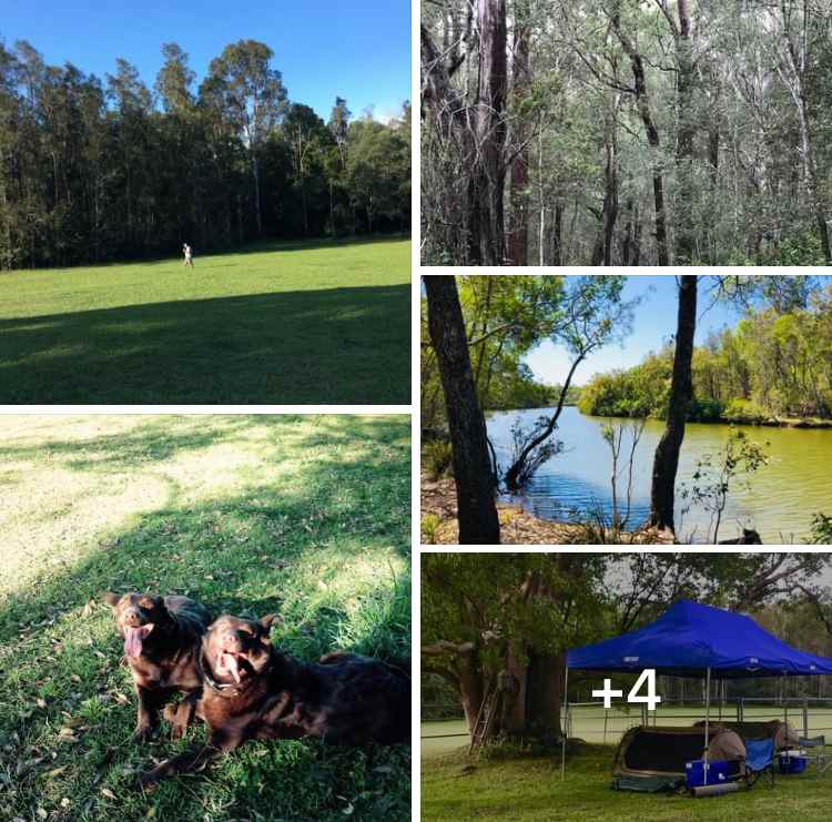 Pet friendly sites 