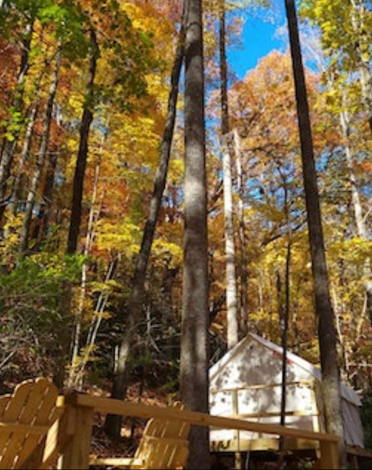 Camp Frozen Creek