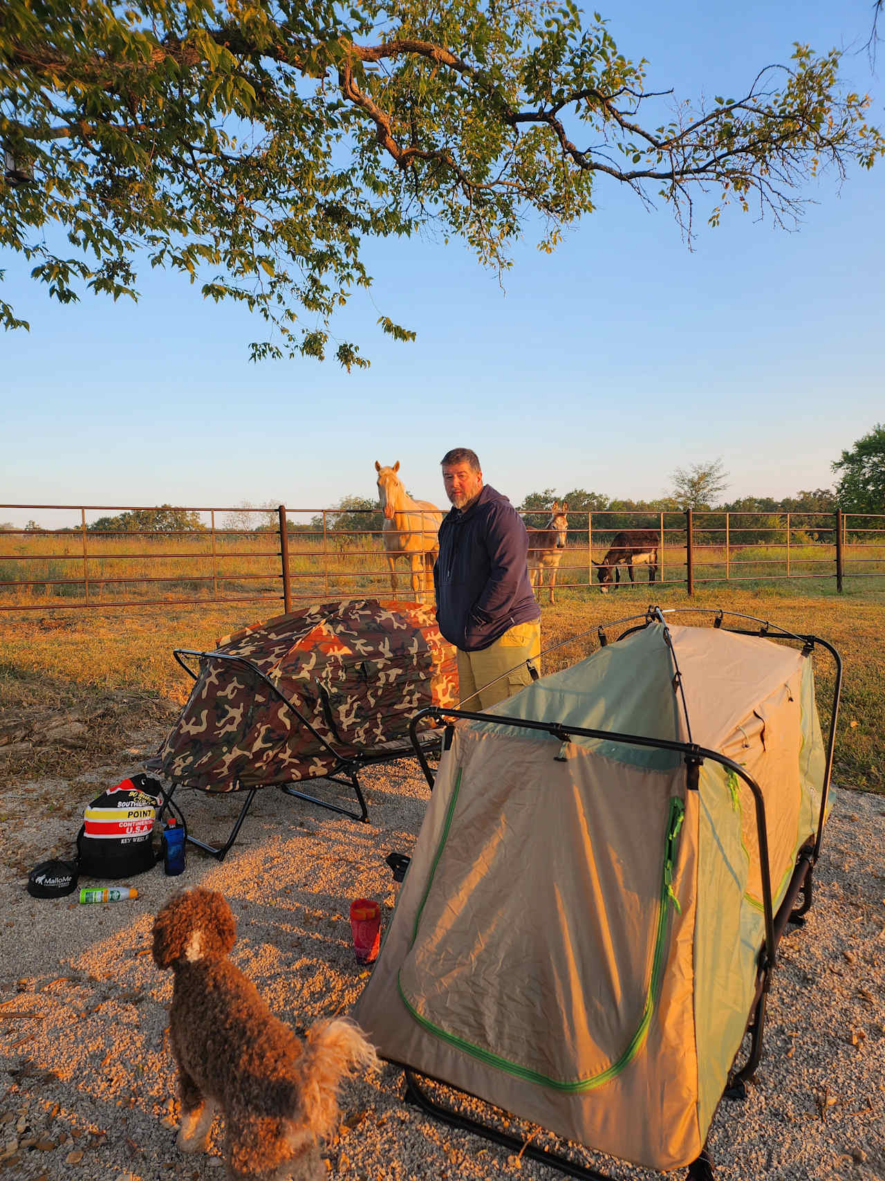 Treloar Ranch