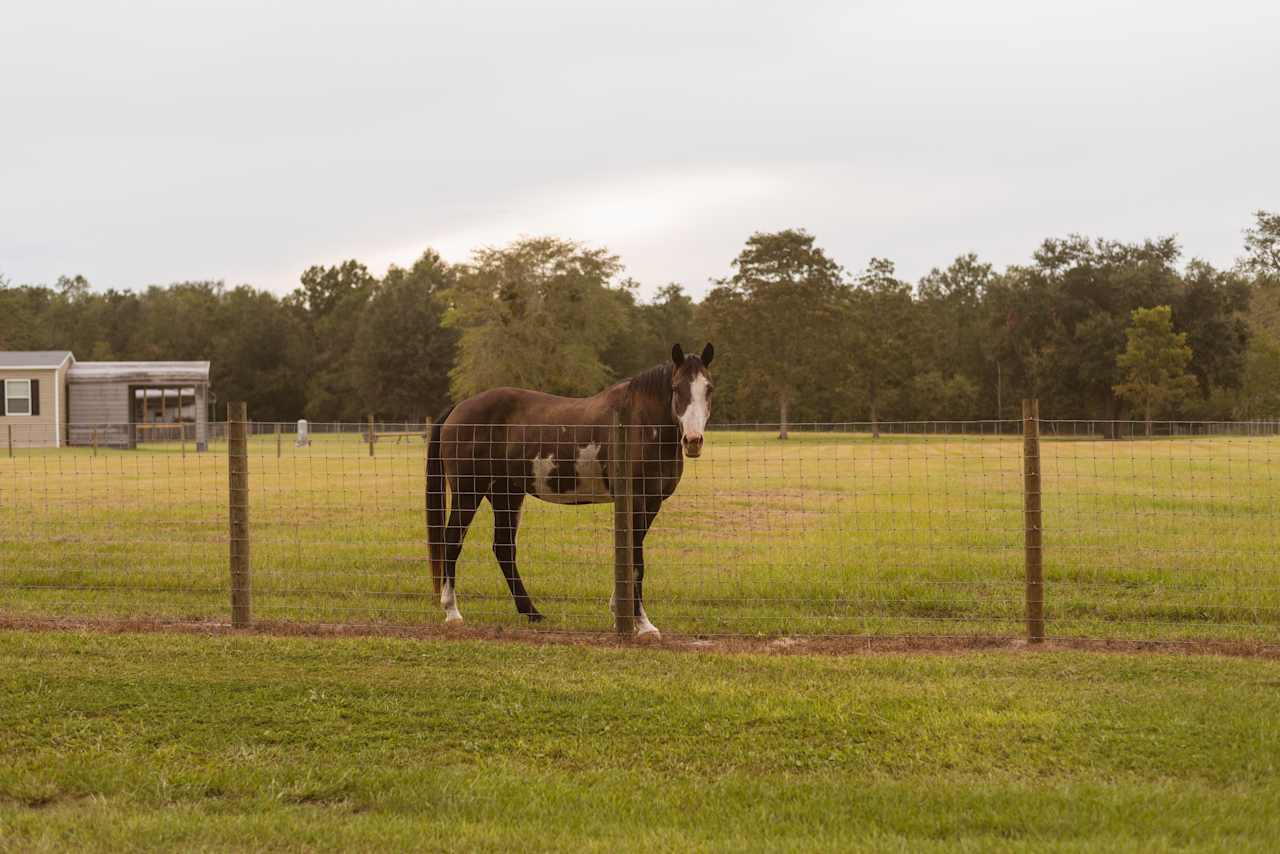 The Dood Ranch