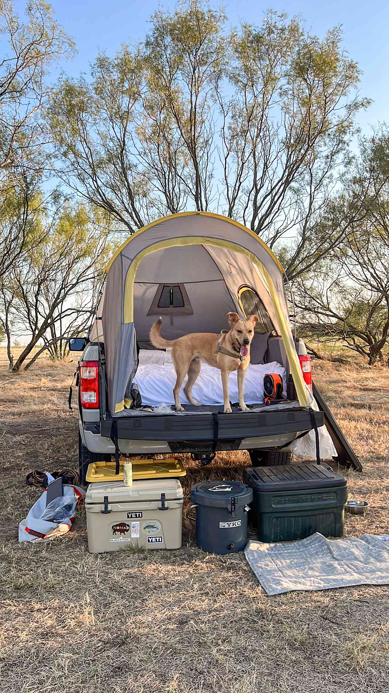 Riley loved 4G ranch!