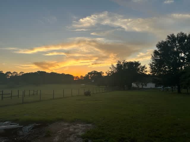 Touch of Heaven Farm