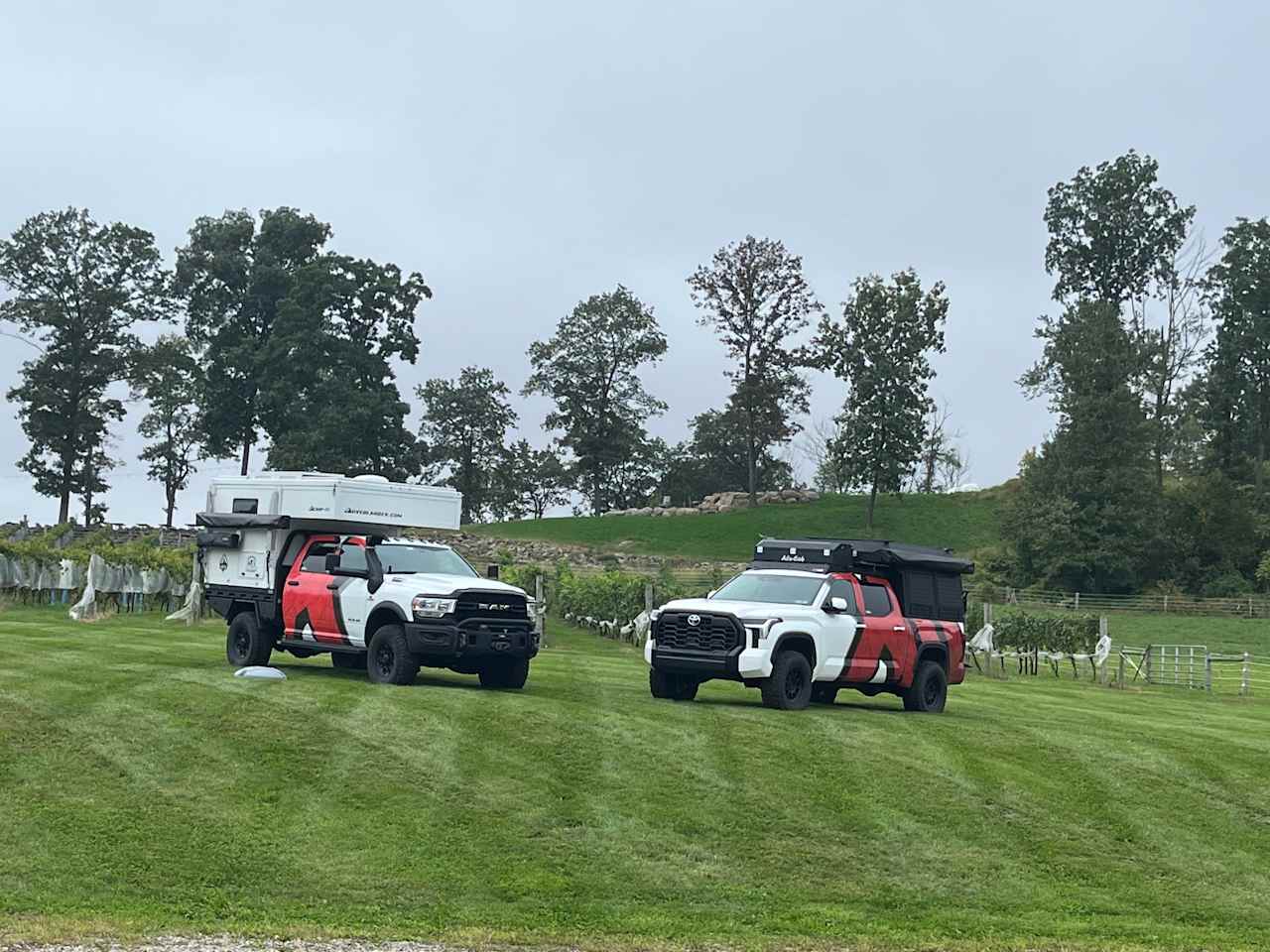 Little Ridge Vineyards