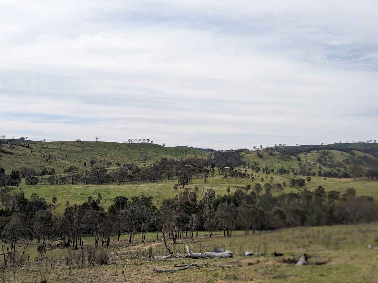 Tallarook