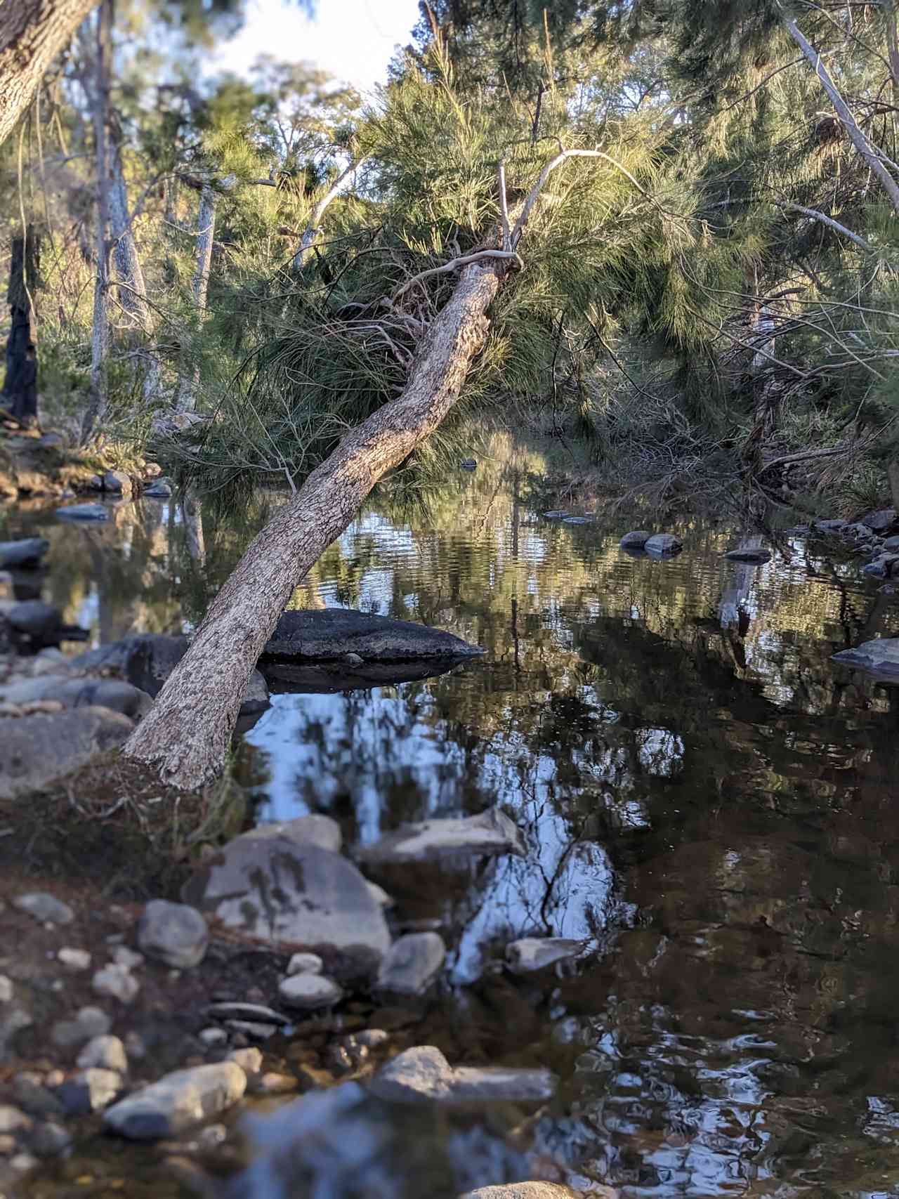 Tallarook