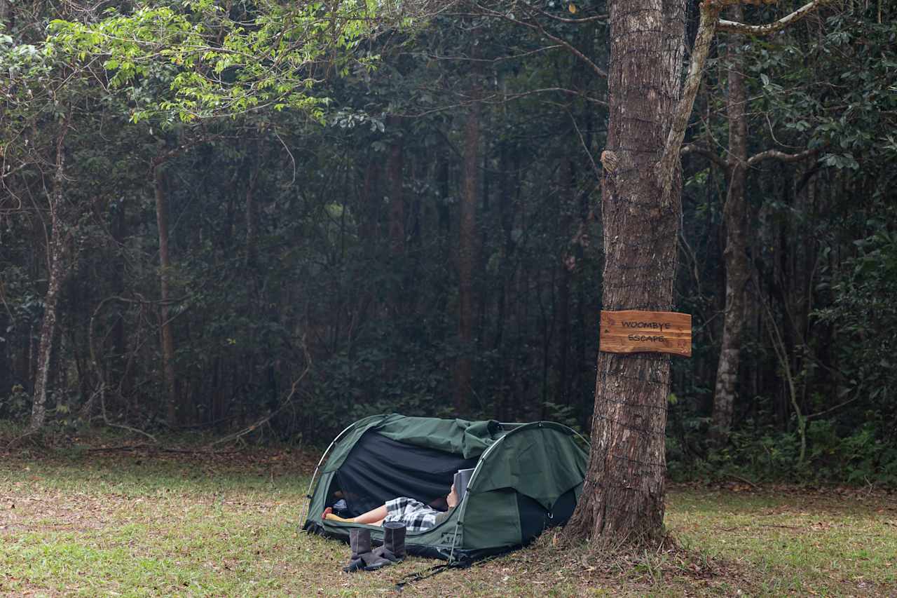 Woombye Rainforest Escape