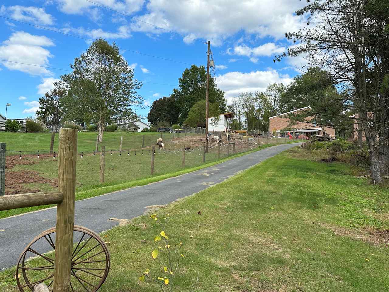 Forever Home Farm Sanctuary