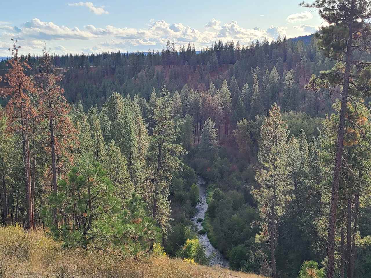 Misty meadows campground