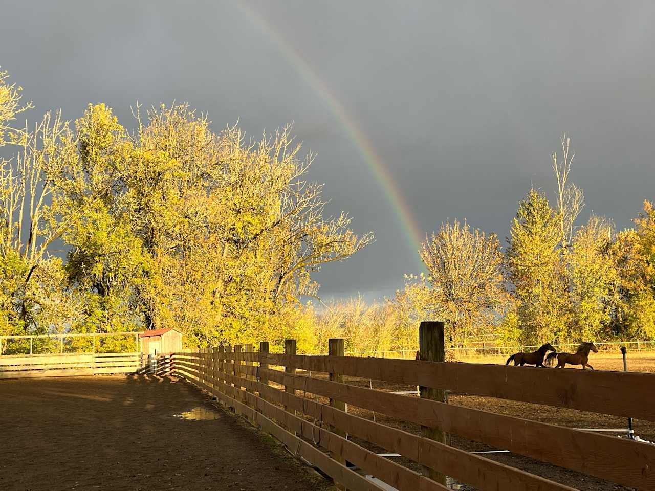 Territorial Farm Stay