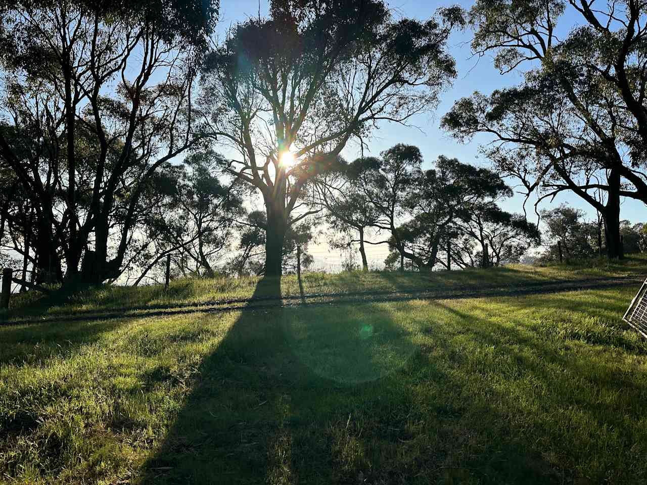 52 acre property with amazing views