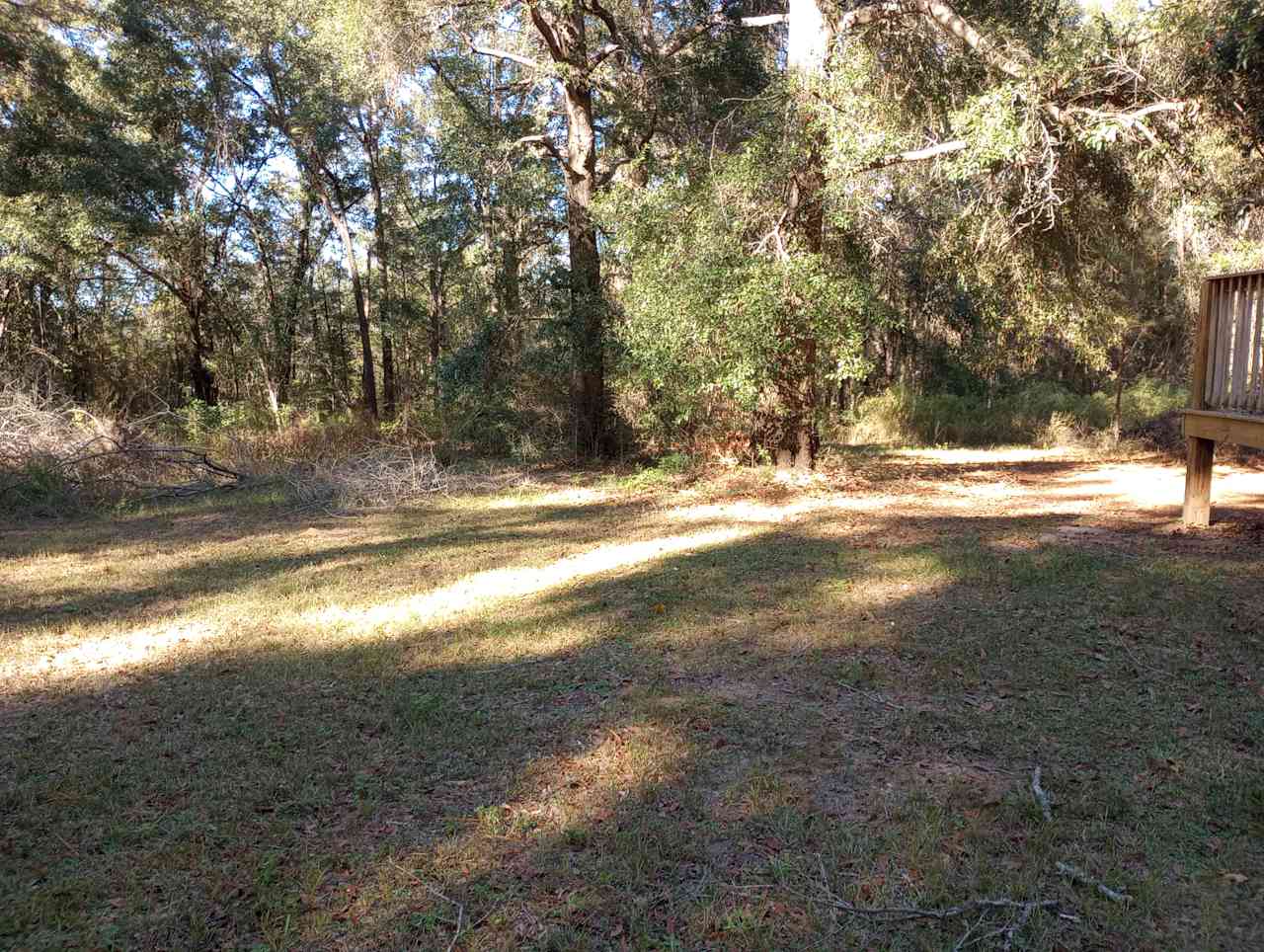 view facing north (site of group camp fire)