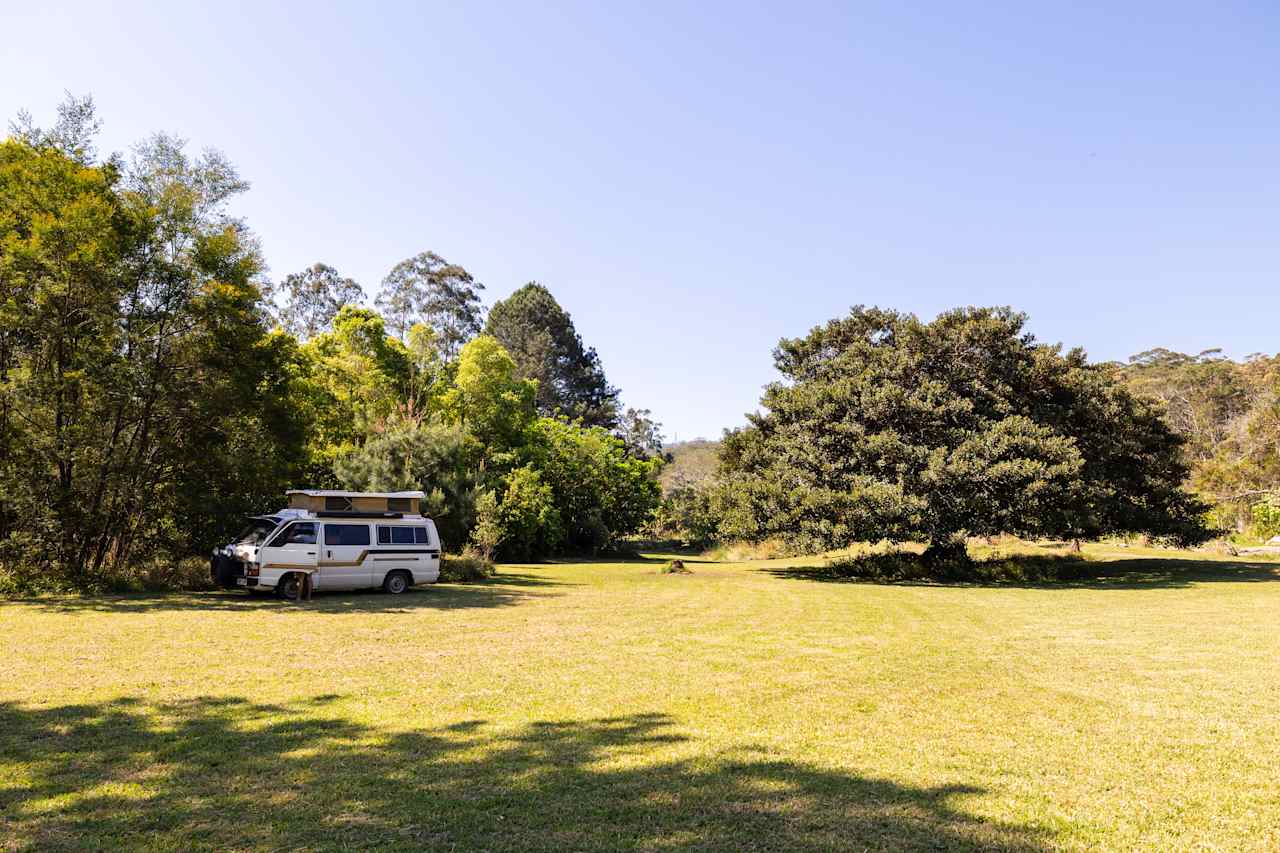 Many shady spots.