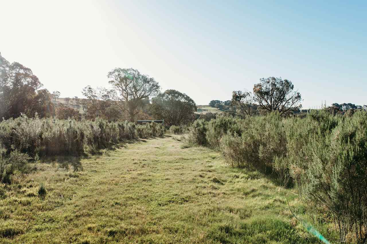 Available land to choose to set up your campsite