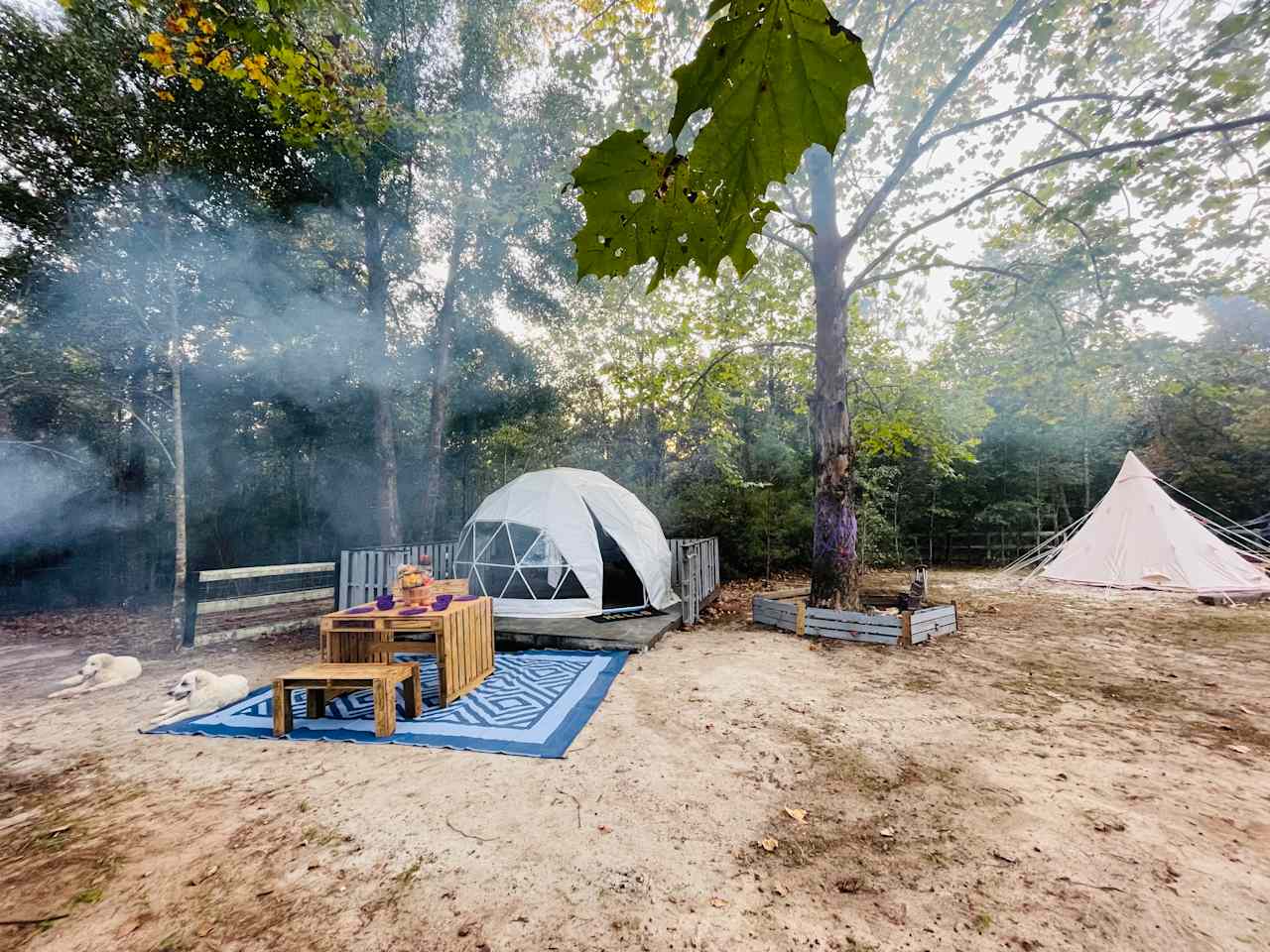 SandyLand Farmstay GlampingTherapy