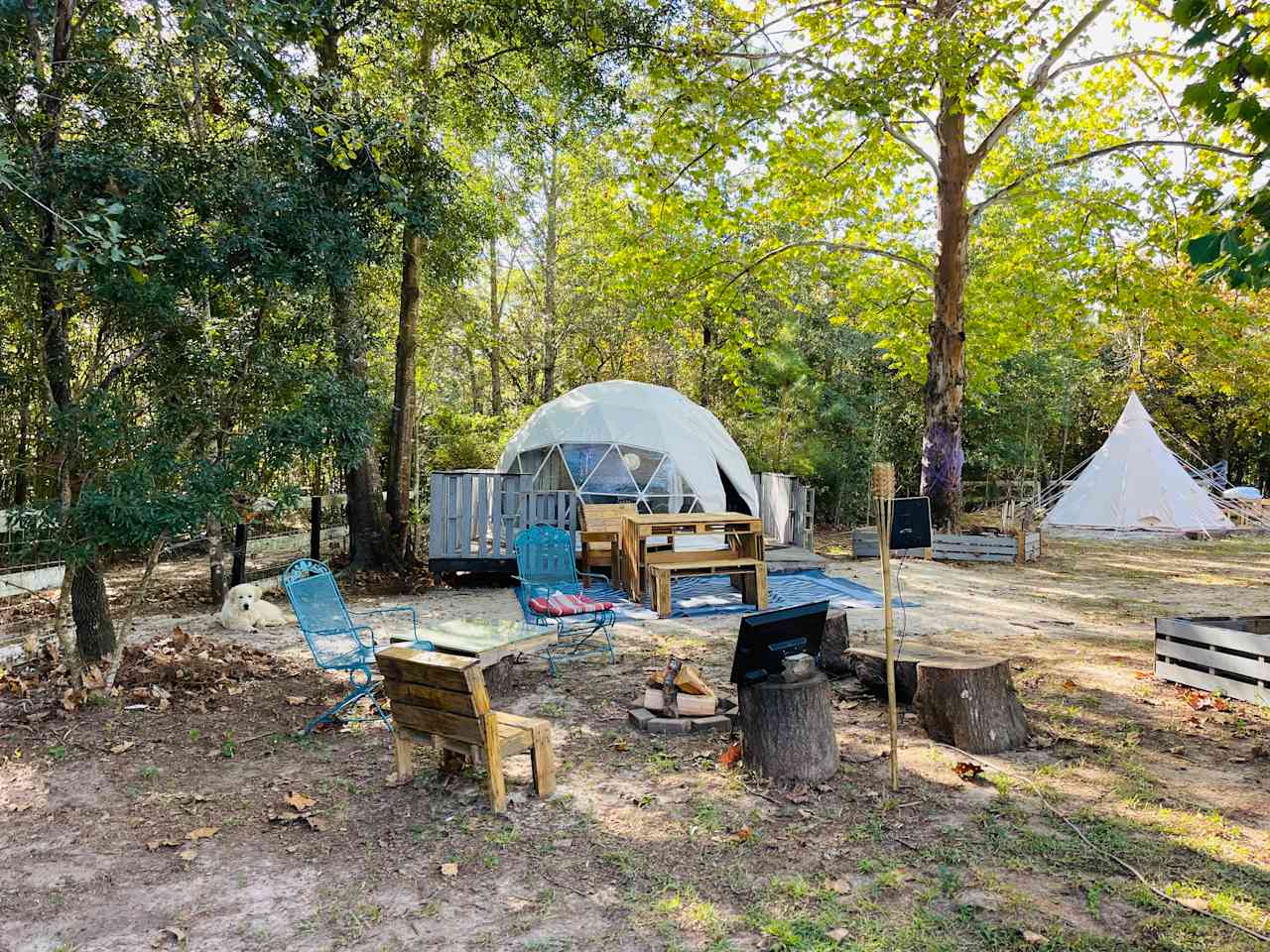 SandyLand Farmstay GlampingTherapy