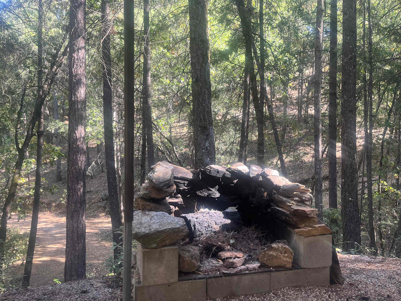 Forest Acres