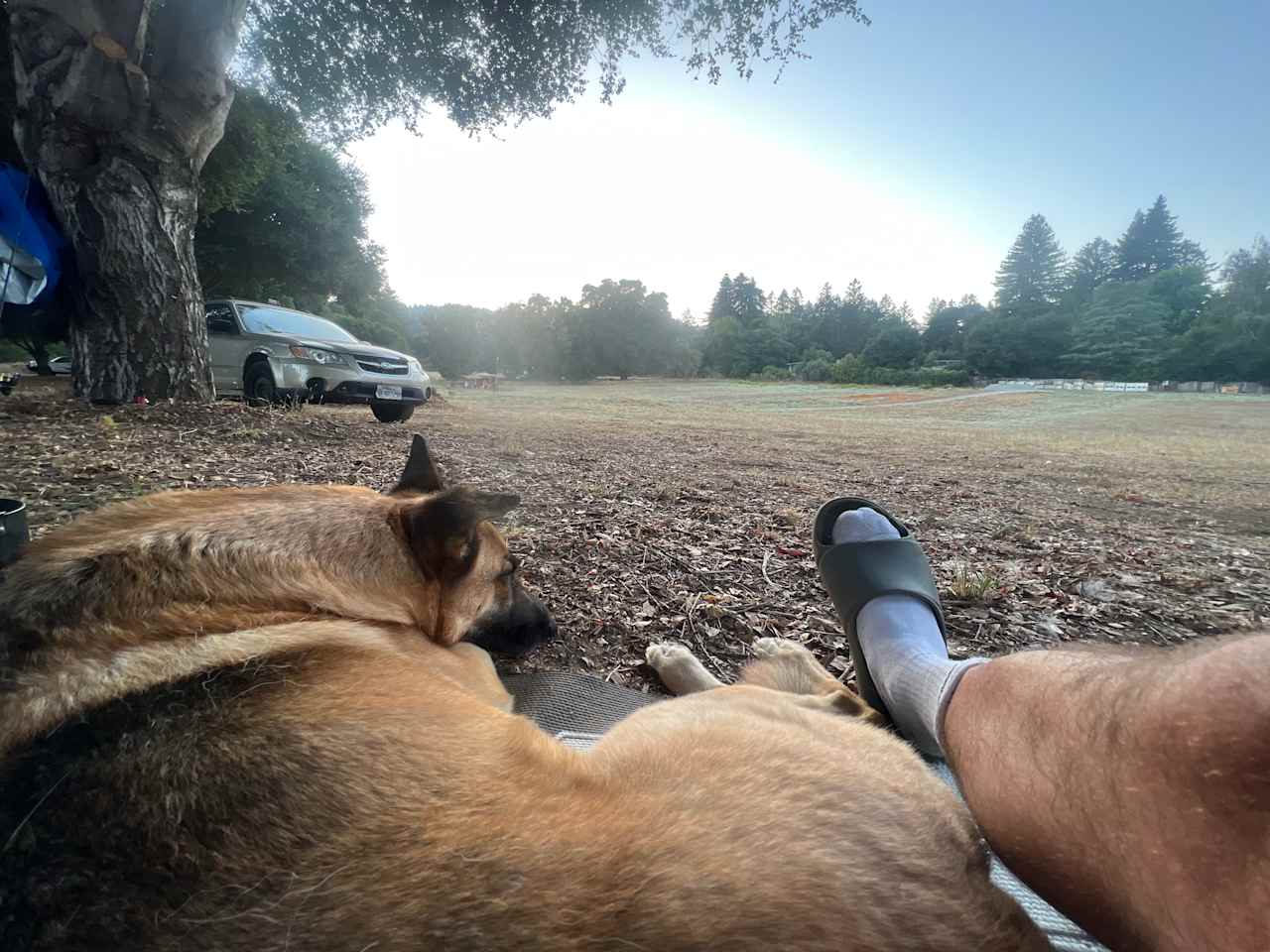 Felton Open Space Camp Sites