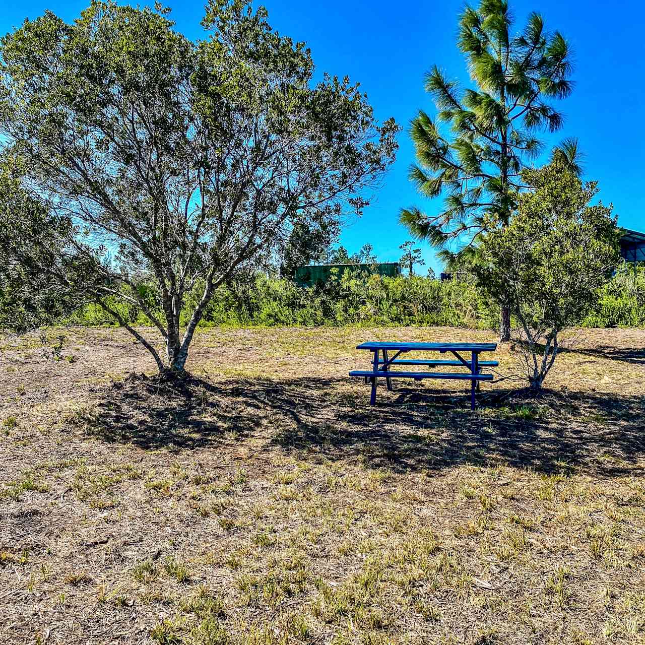 Sweet Shop Camp Sites at RiverRanch