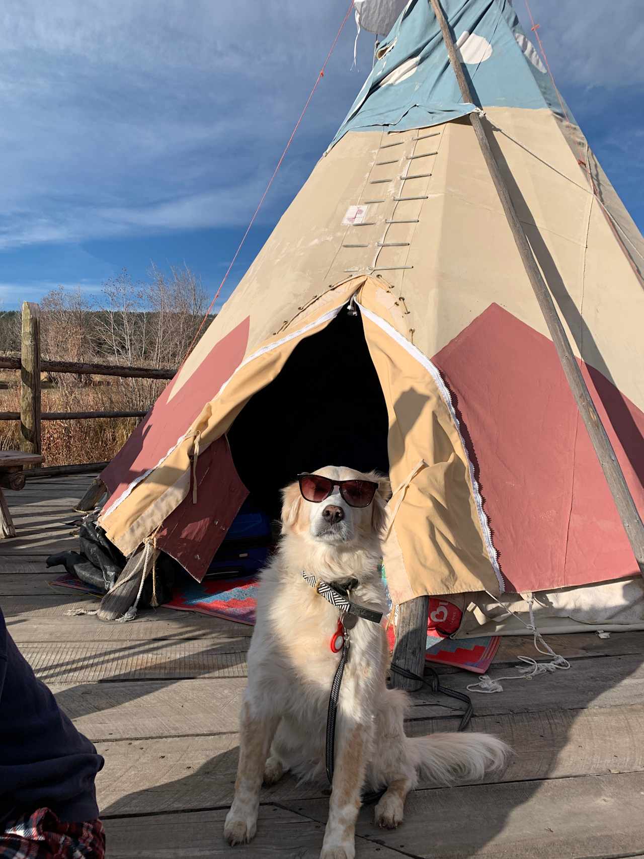 Creekside Glamping Tipis on Off-Grid, 70 Acre Working Ranch