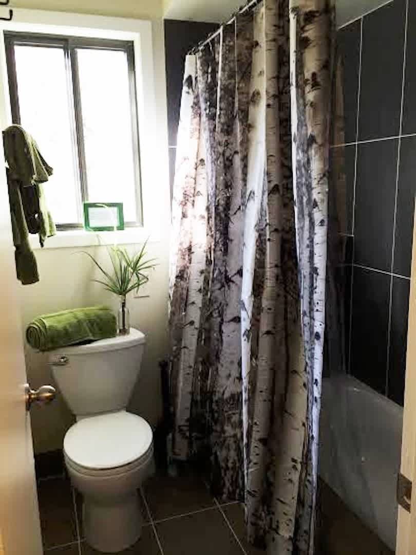 Upstairs bathroom