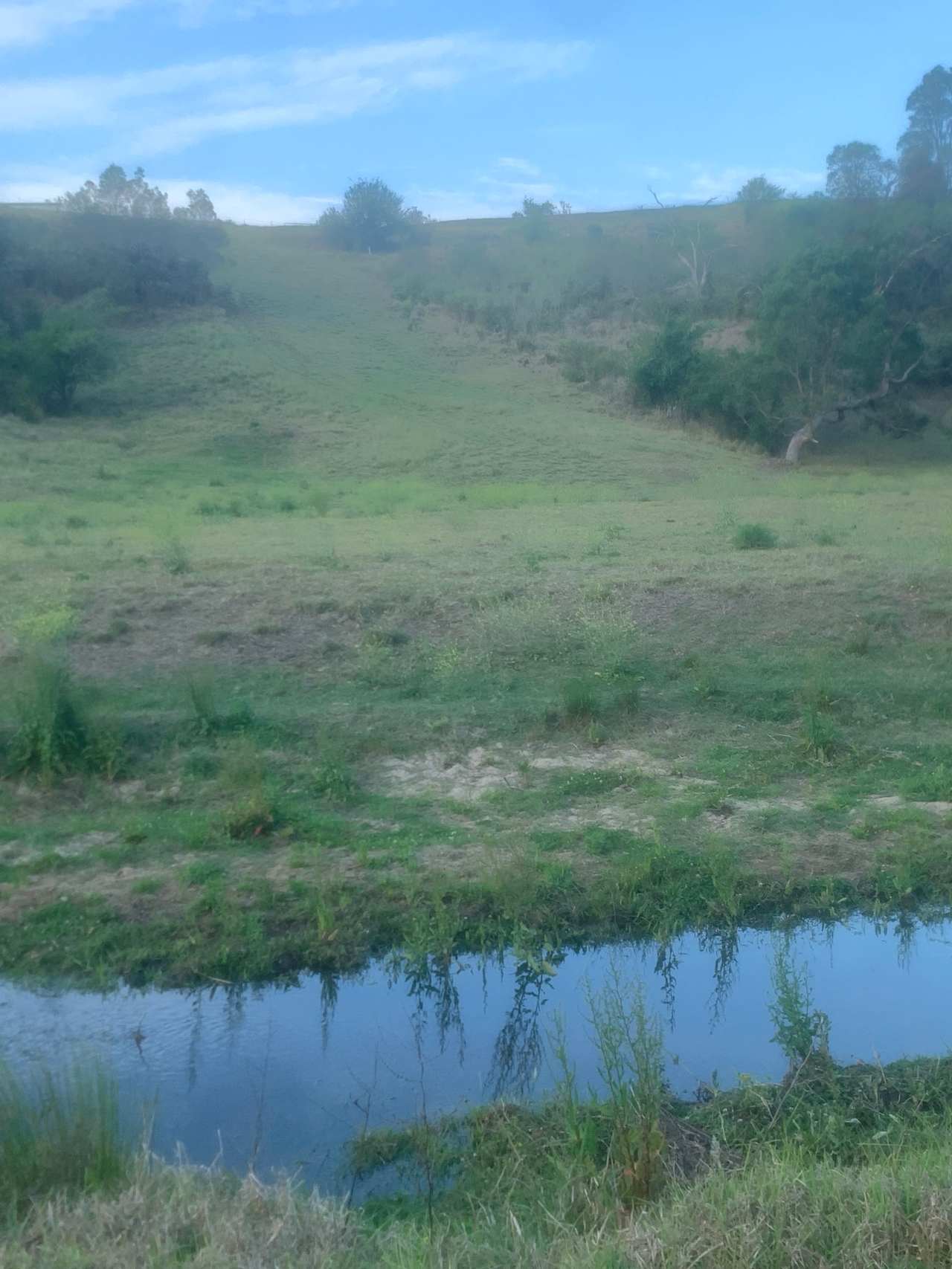 Our creek running through our property