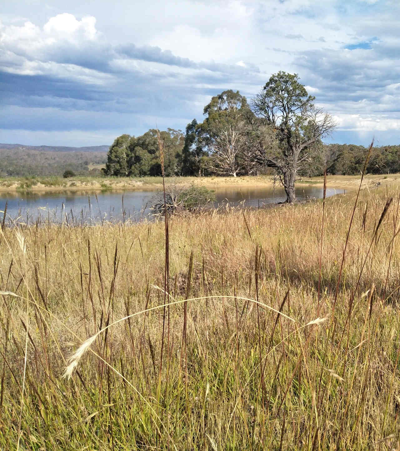 Snowgum Camping Farmstay