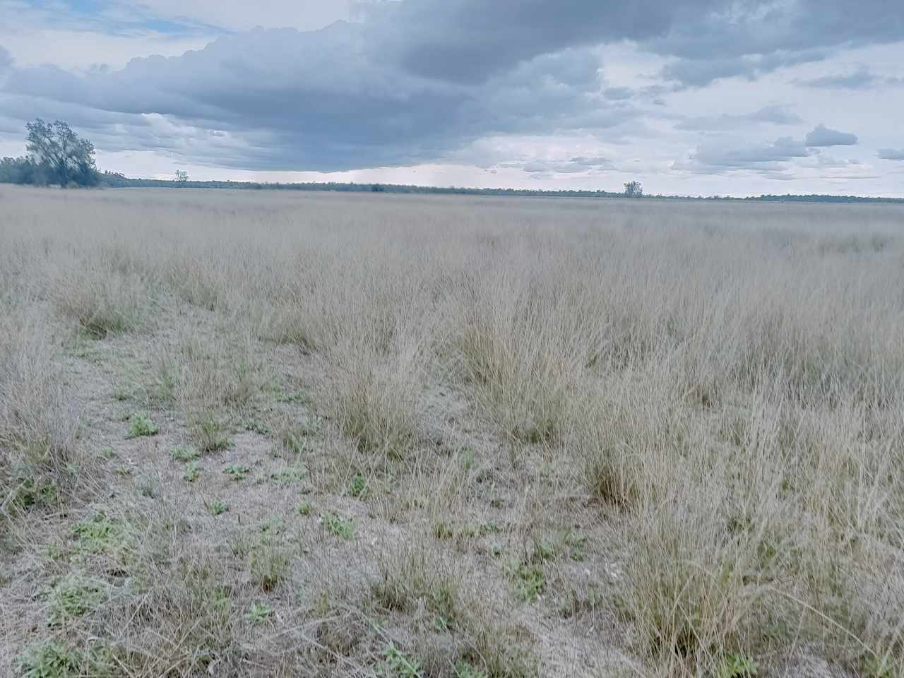 Breelong Valley