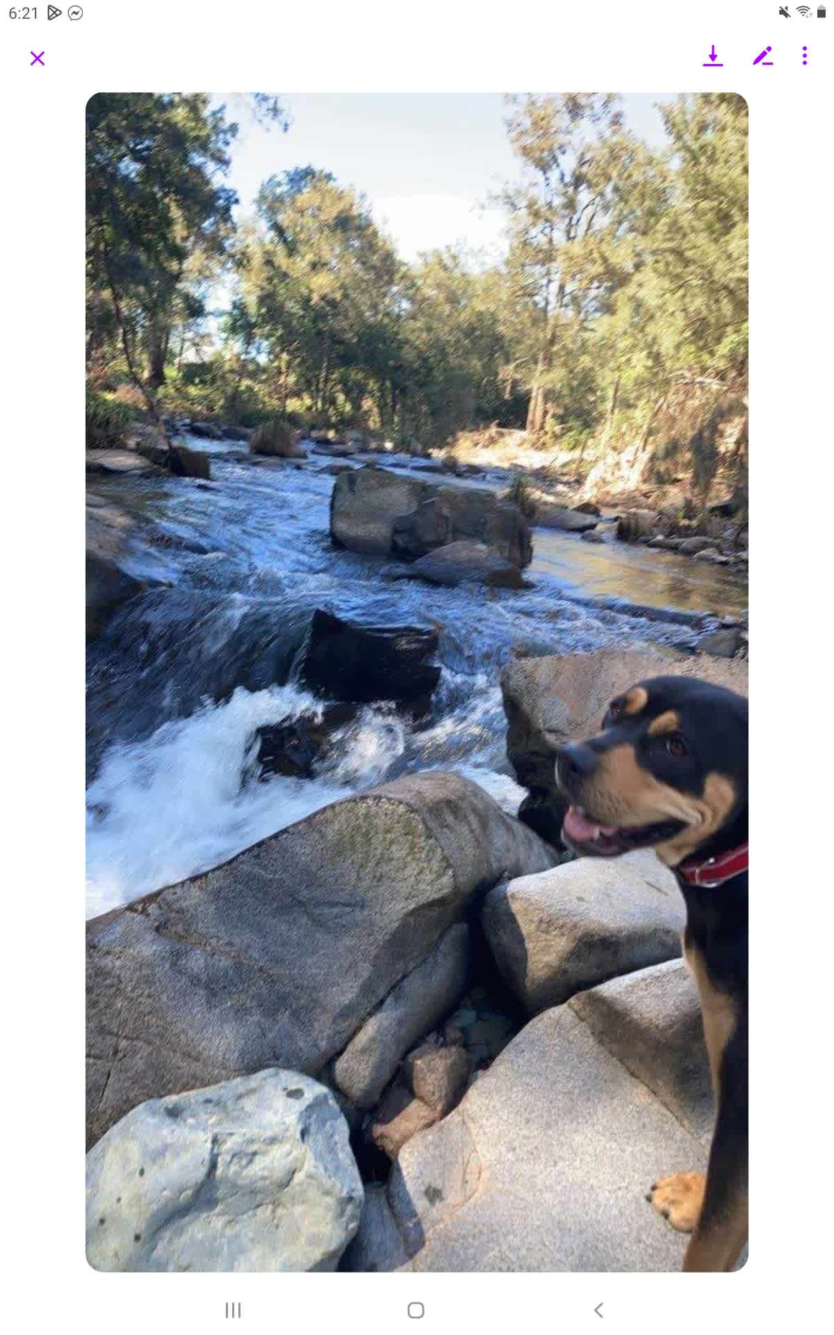 River Run Camping