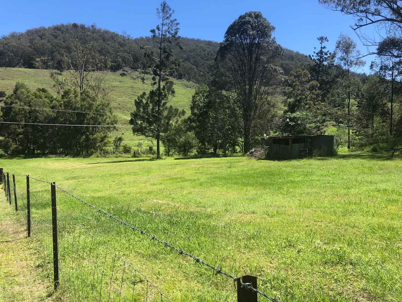 Harris Cottage back yard