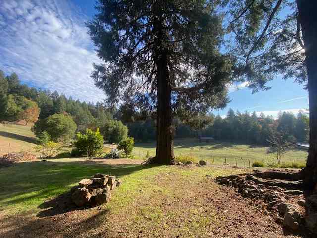 Wild Canyon Ranch CA