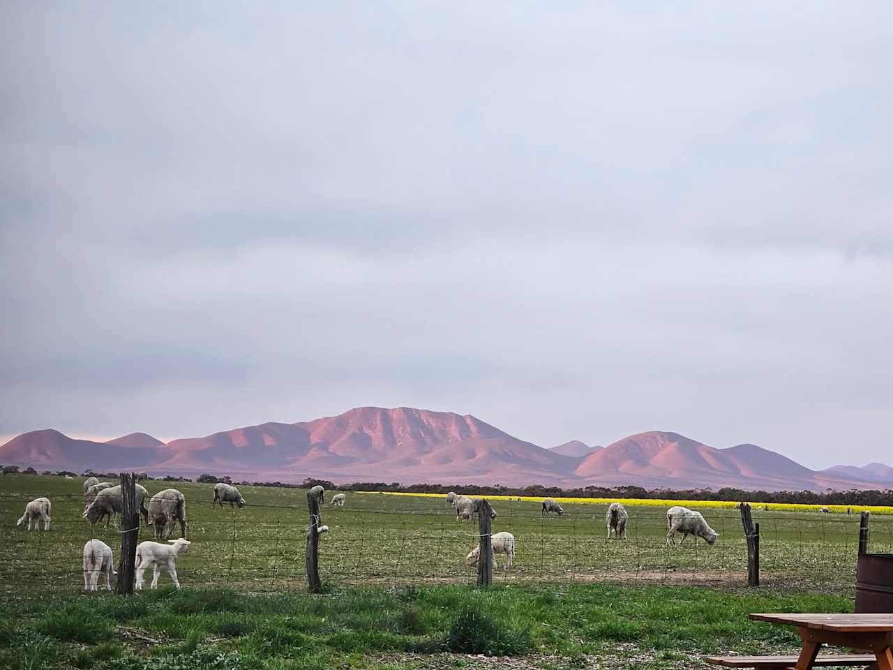 View from the property