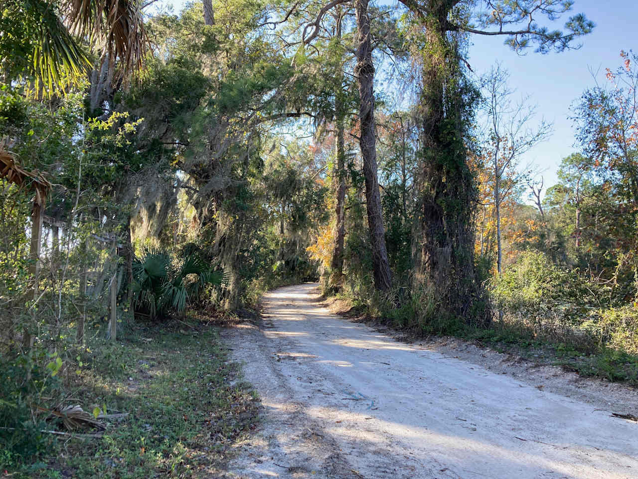 road facing west