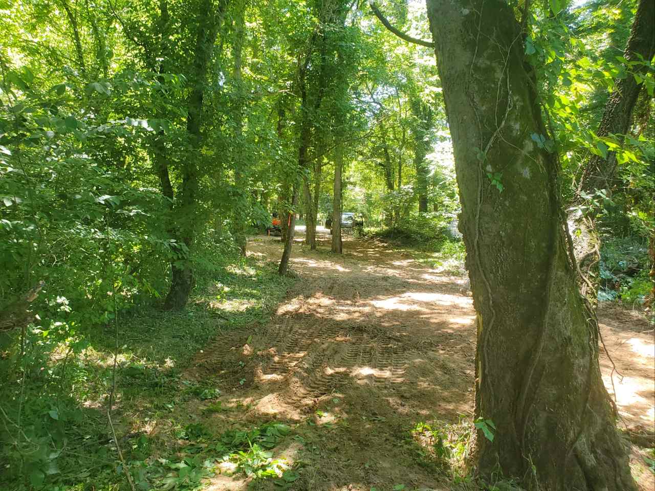 Primitive camp