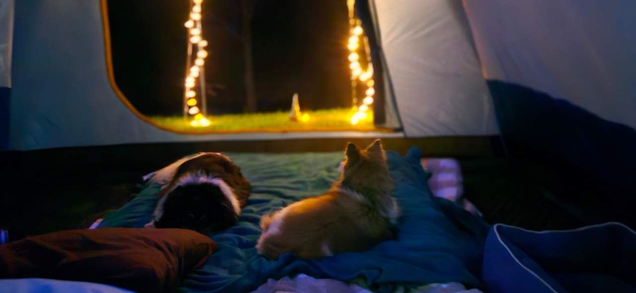 Christmas Creek Bush Retreat