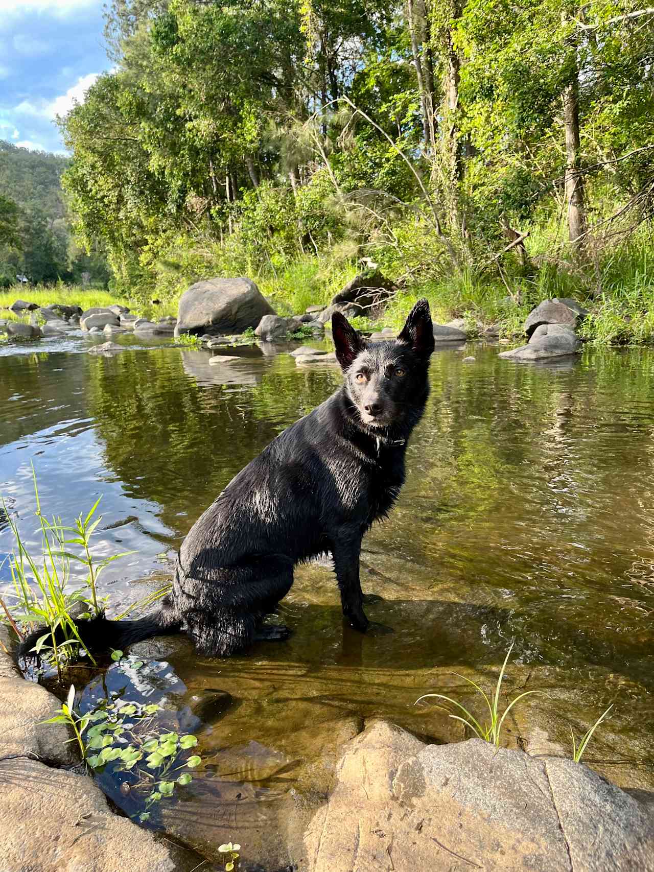 River Run Camping