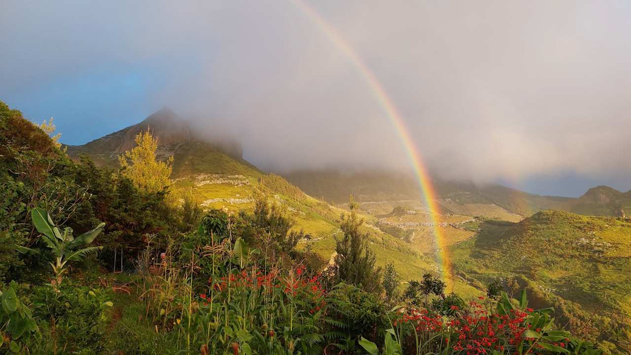 Organic farm Flores