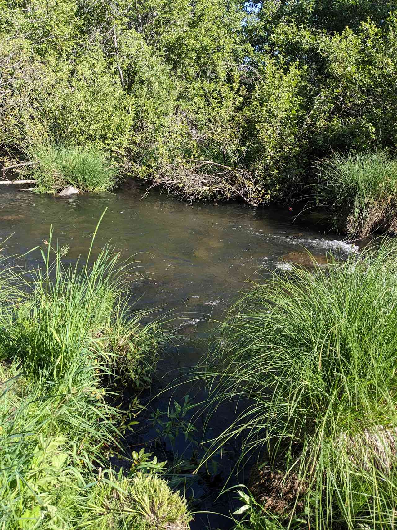 The Retreat on Big Grizzly Creek