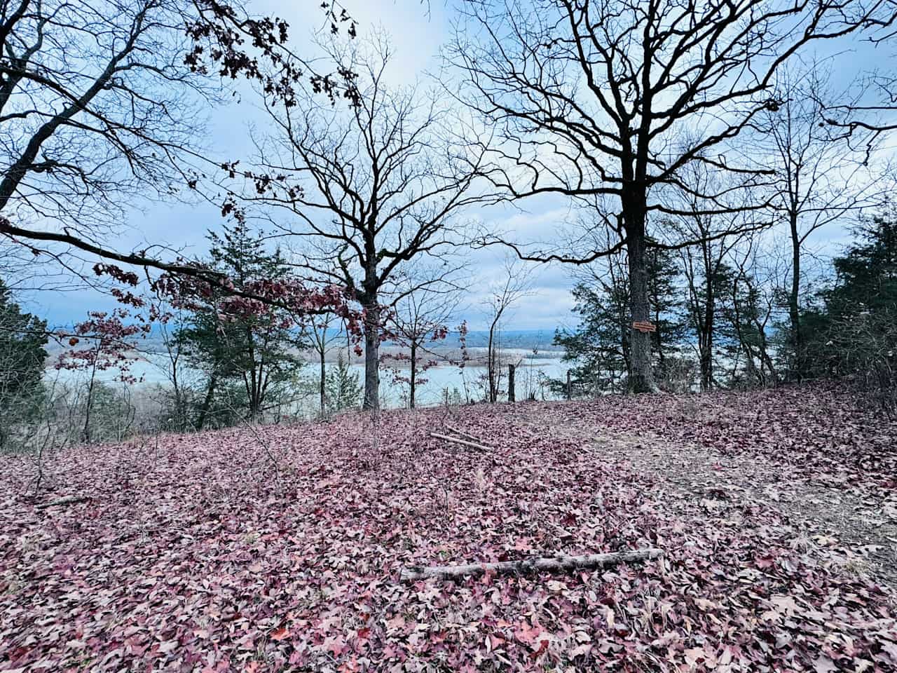 Pink Paddler Place