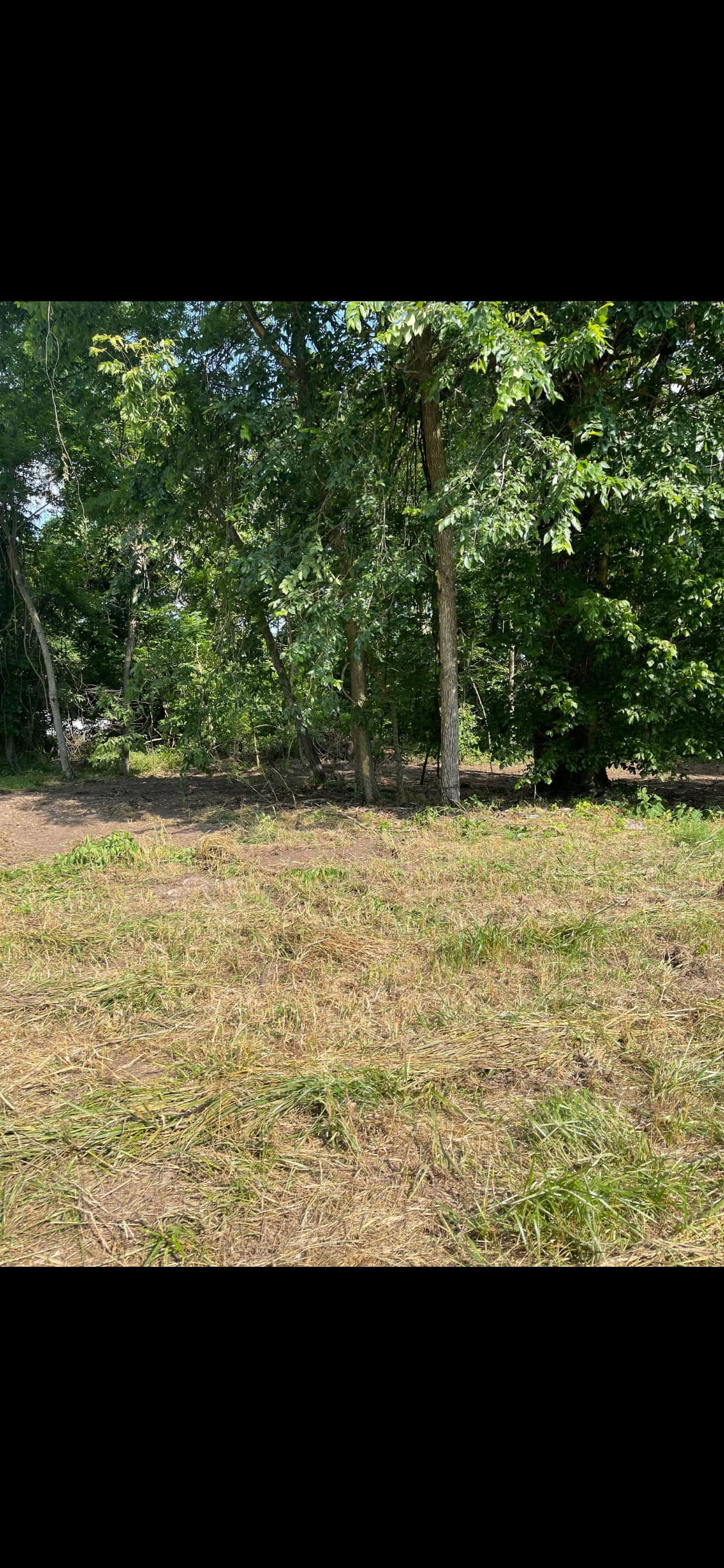 Stave Mill Campground Tent Sites