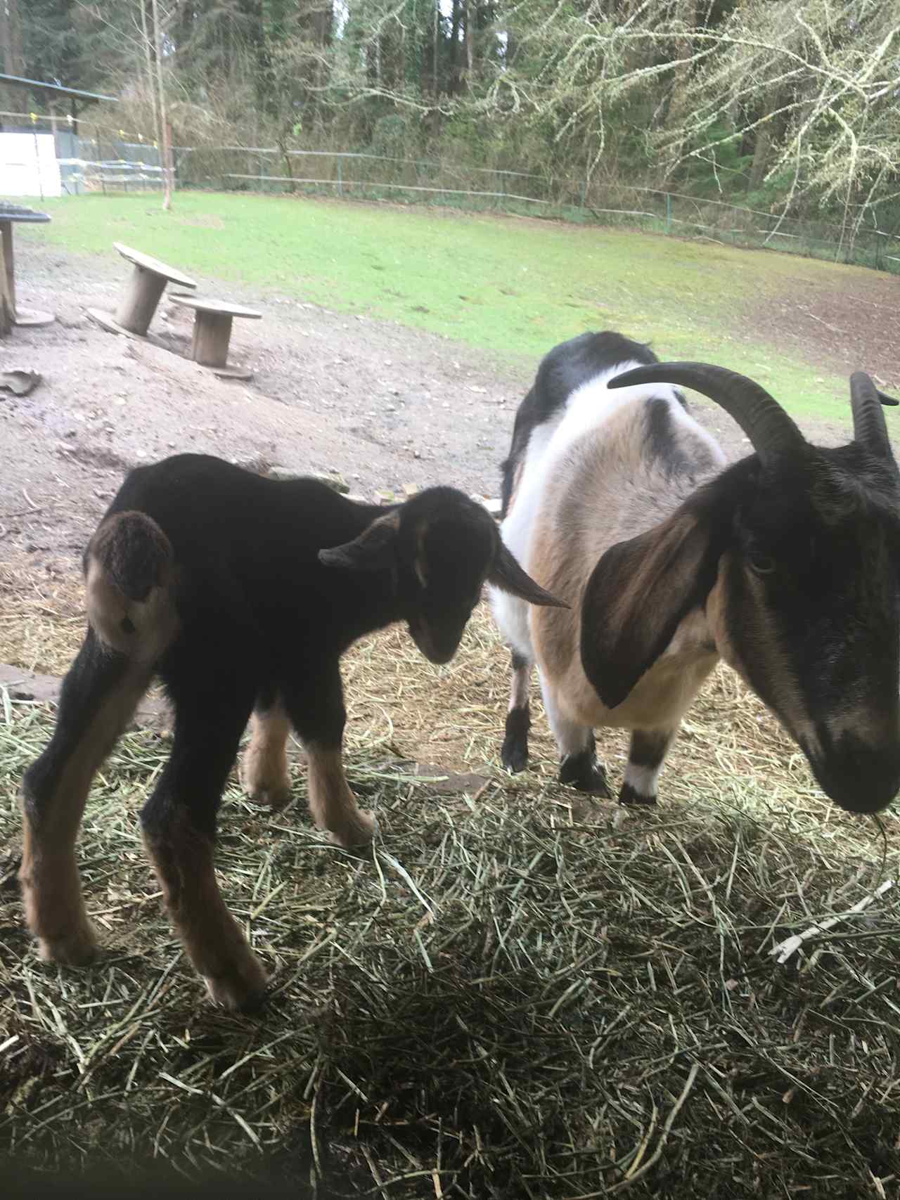 spring is kid season!