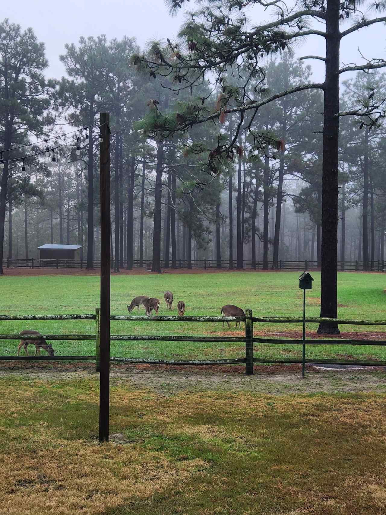 Foundation RV Camping Horse Hotel,