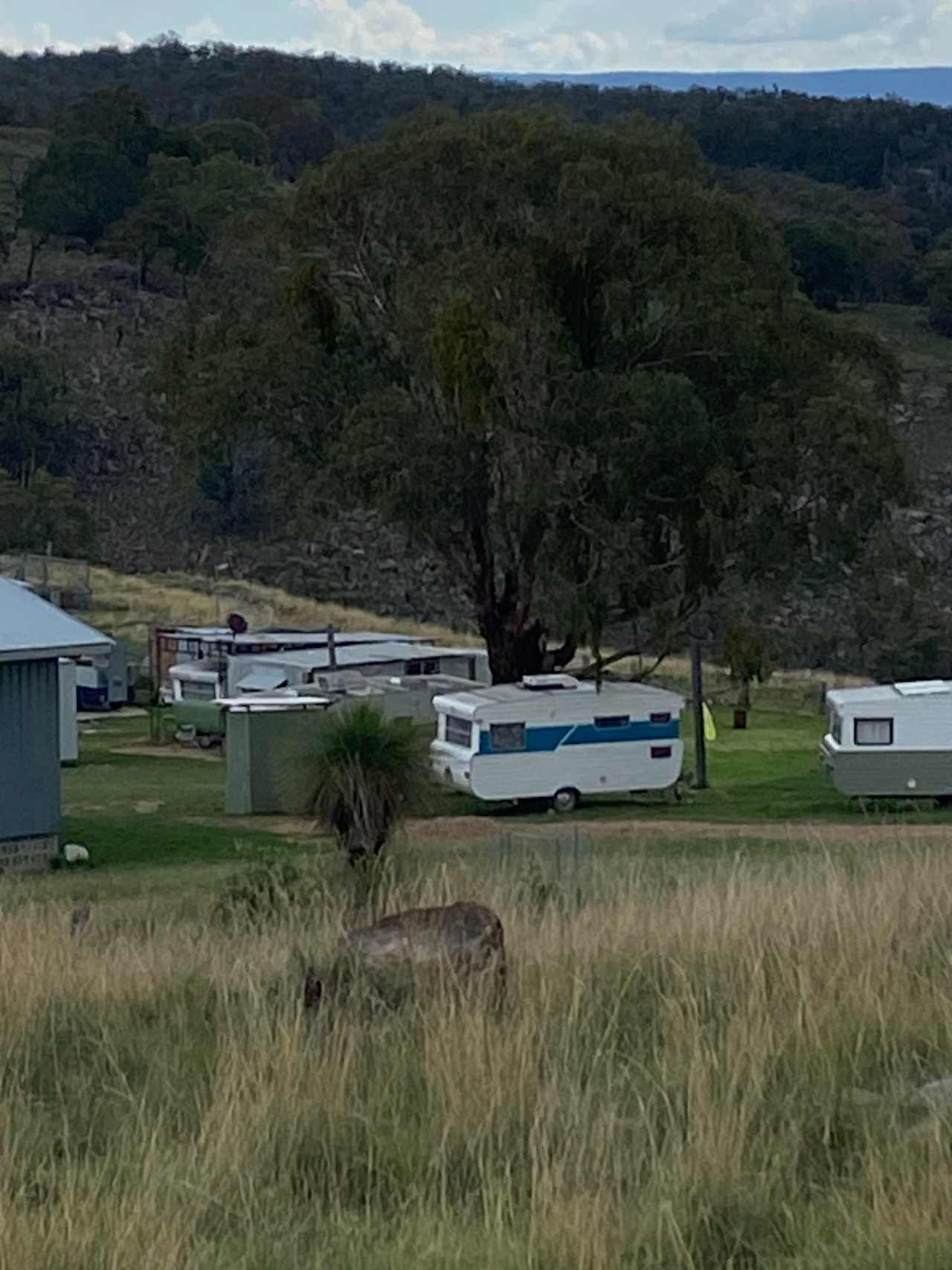 Shelter On Gunyah