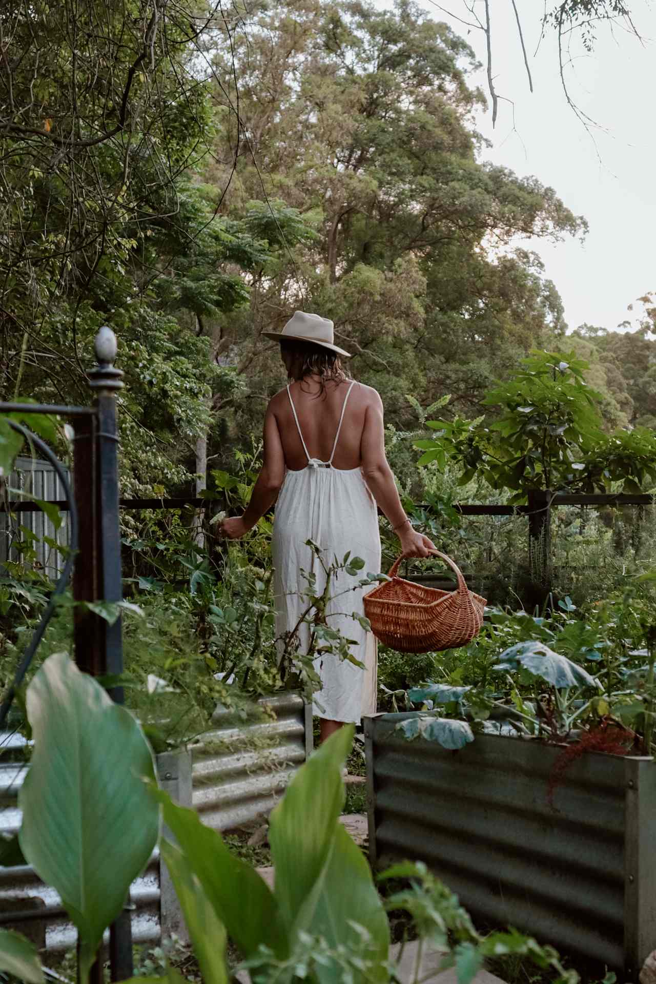 Veggie garden