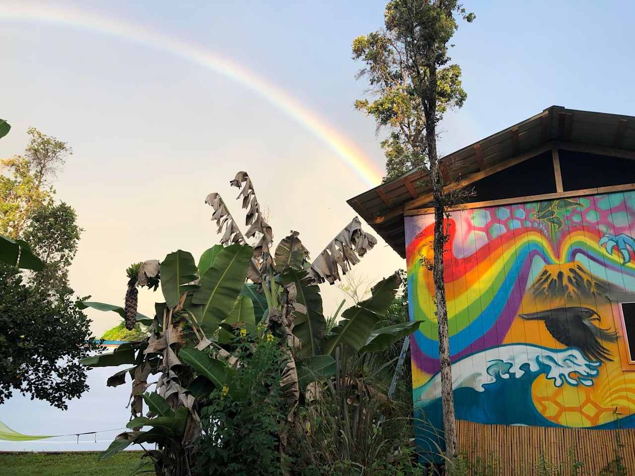Blue Dragon Hot Yoga Homestead