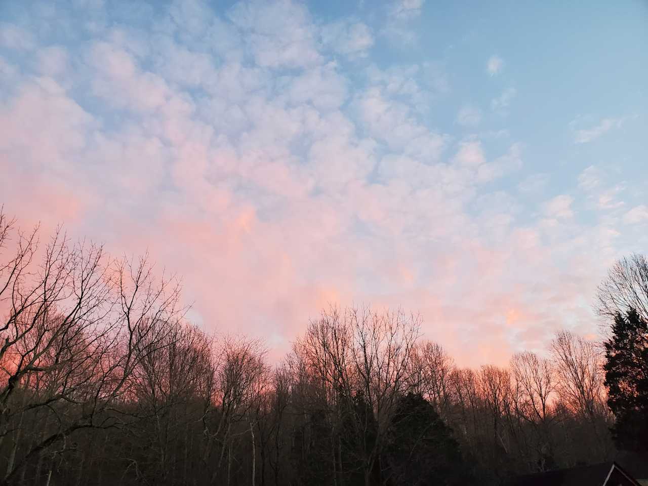whispering moonbeam acres