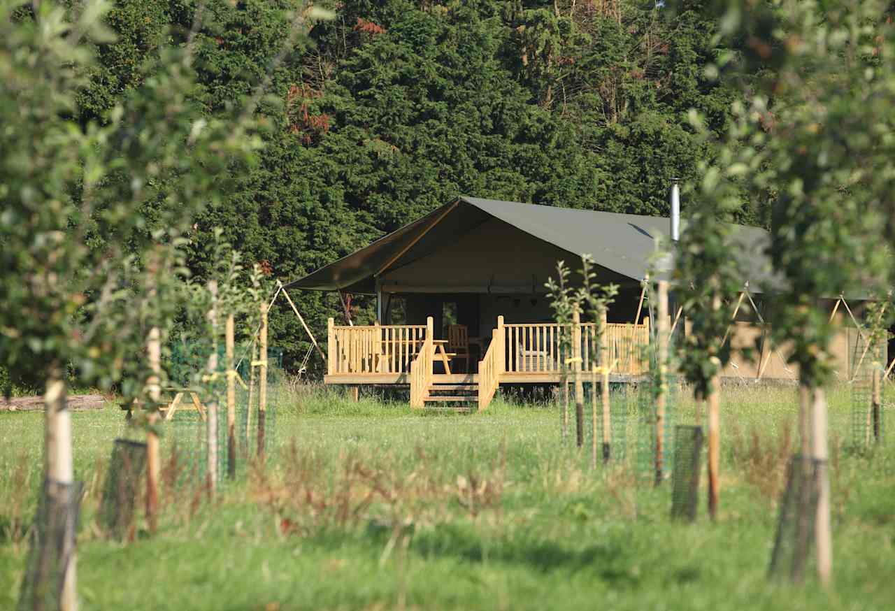 Wild Luxury - Drove Orchards