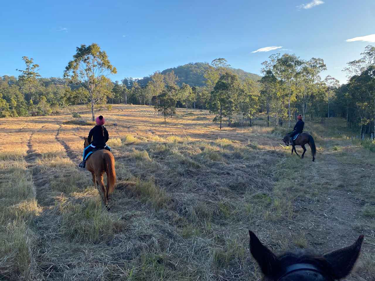 Mal and Sarah’s Farm