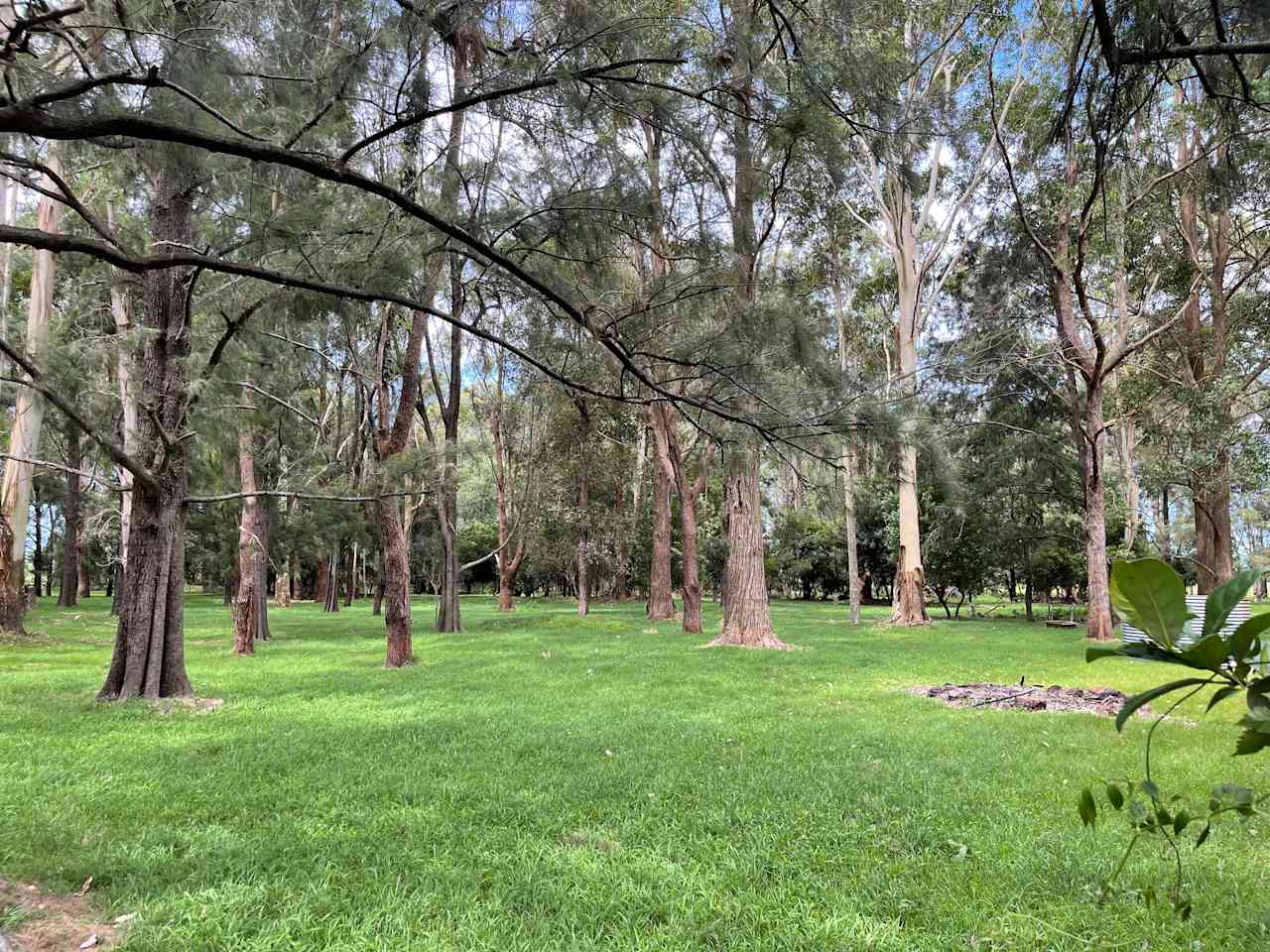 Secrets of Terara