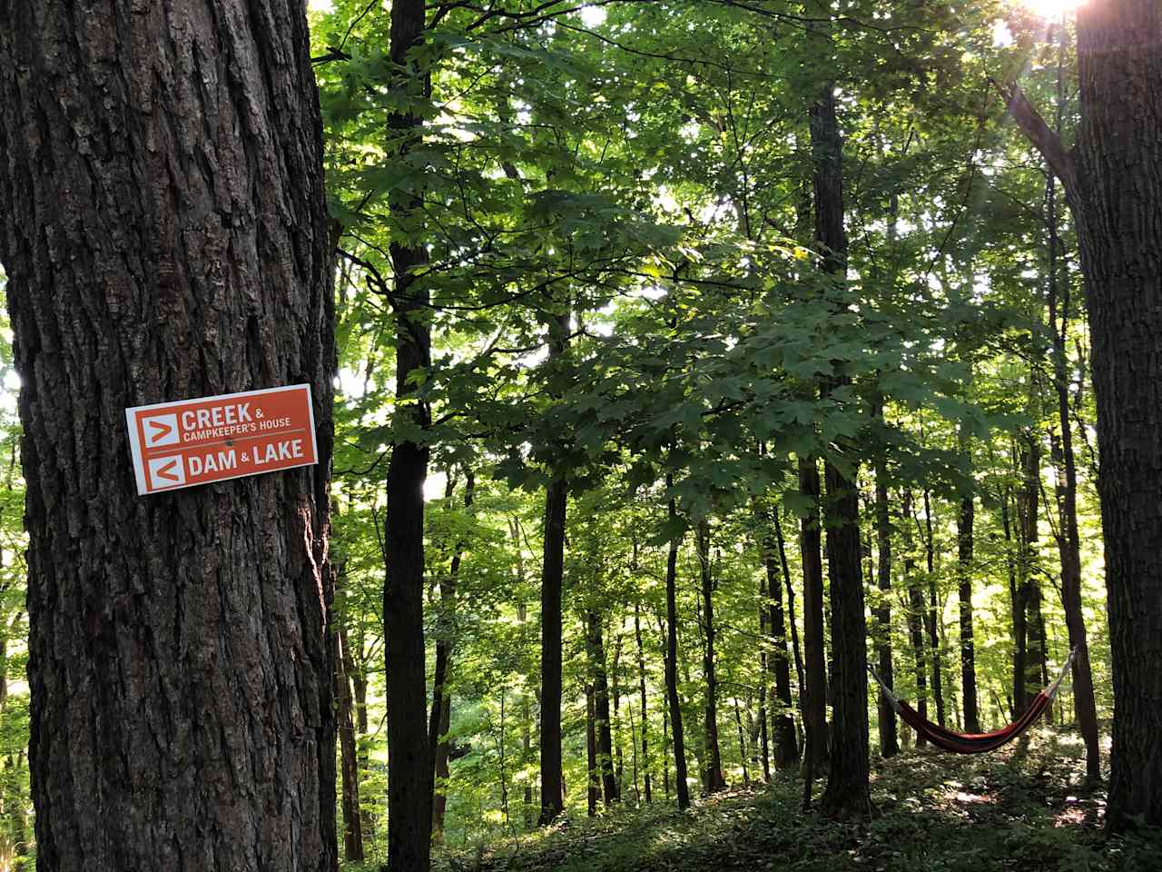 Choose your own path from camp.