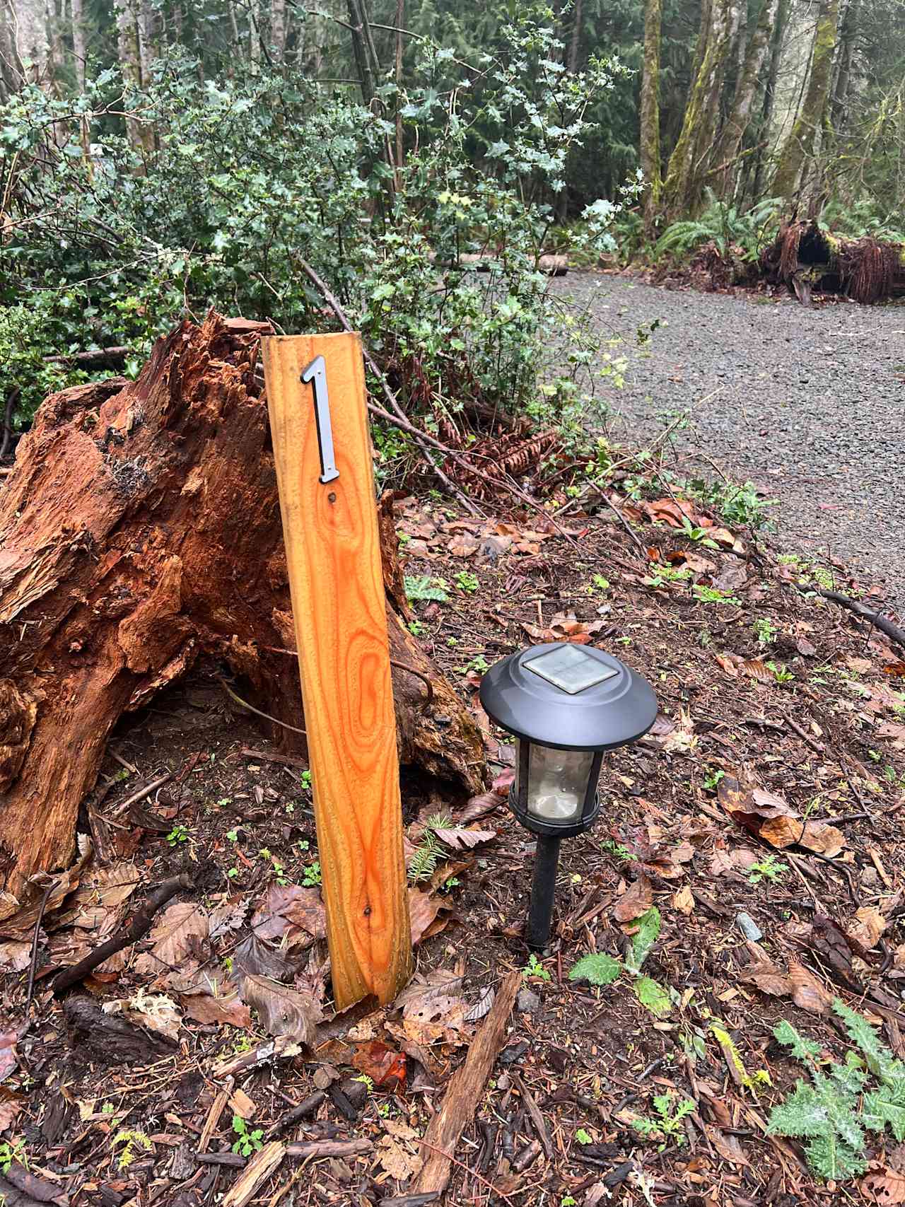 Mt. Rainier-Carbonado Containers